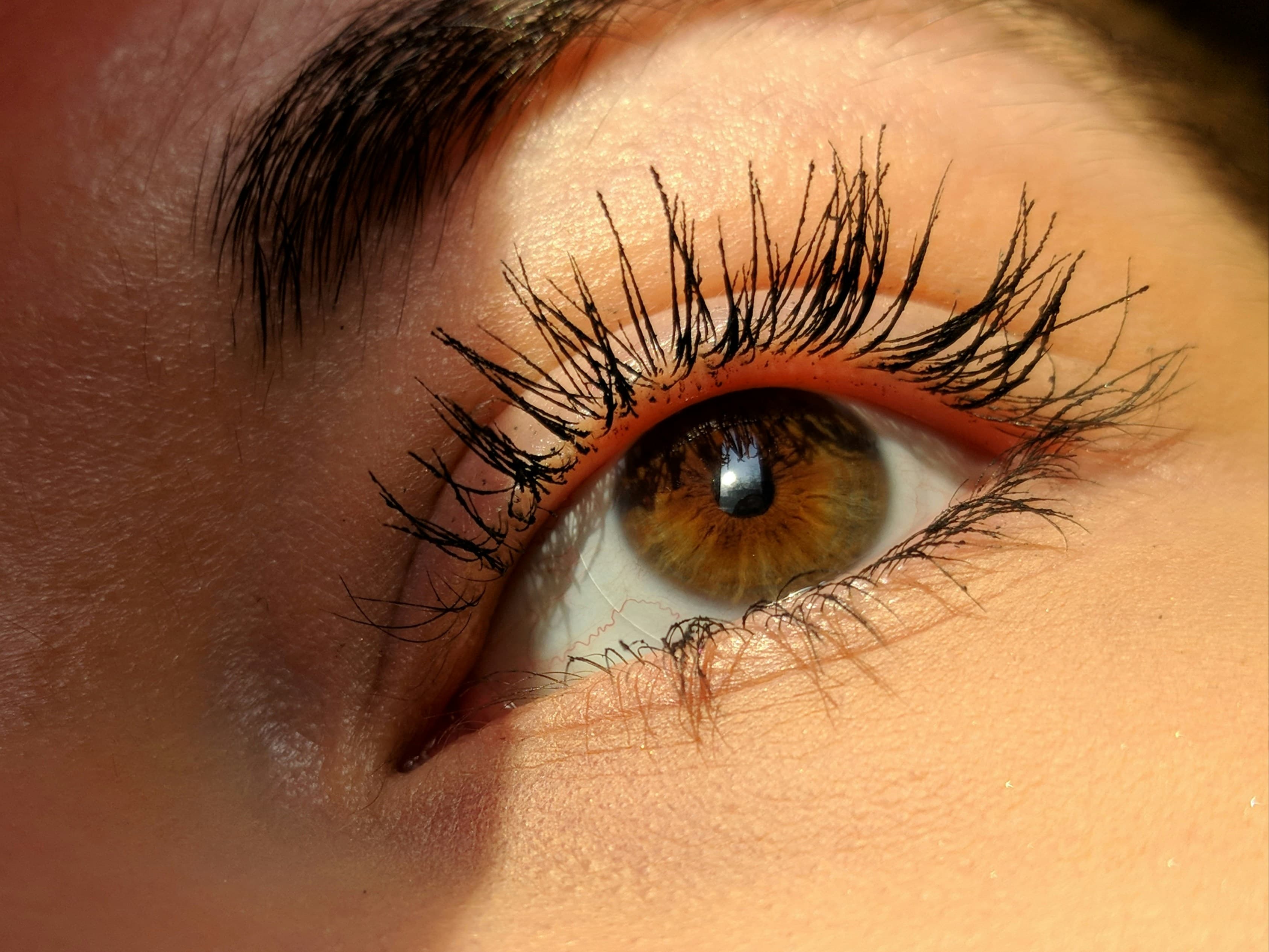 Lash